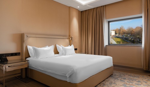 Habitación estándar, 1 cama doble, accesible para personas con discapacidad