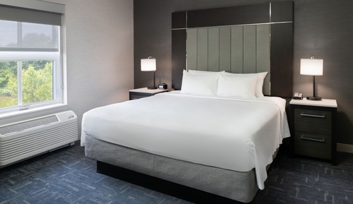 Estudio, 1 cama de matrimonio grande con sofá cama (Mobility/Hearing Access, Roll-In Shwr)