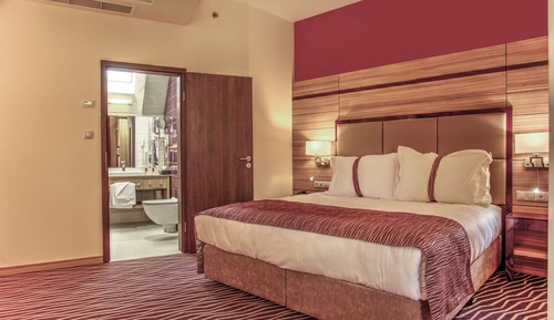 Habitación estándar, 1 cama de matrimonio grande