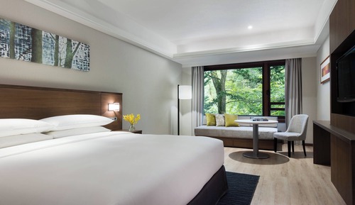 Habitación superior, 1 cama de matrimonio grande con sofá cama