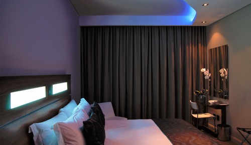 Single Room, 1 King Bed