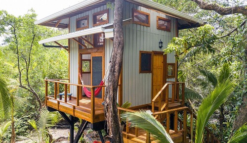 Casa en un árbol