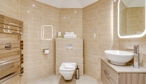 Habitación Deluxe con 2 camas individuales