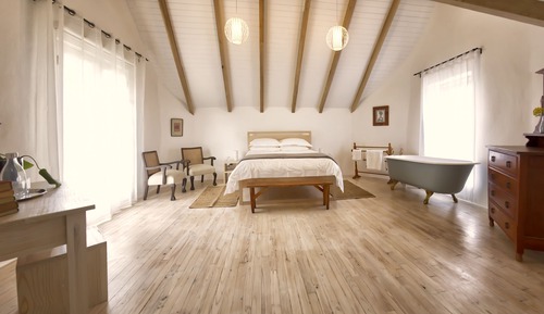 Habitación de lujo, 1 habitación (Strooiblom)