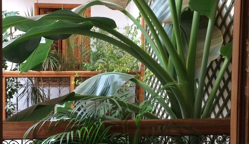 Suite romántica (Essaouira)