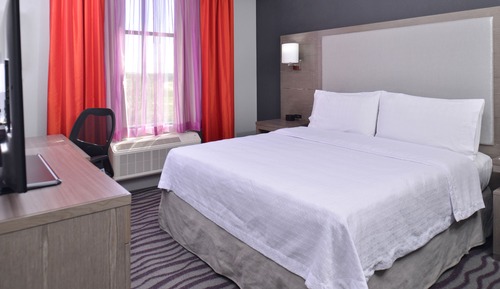 Suite, 1 cama de matrimonio grande, accesible para personas con discapacidad (Roll-in Shower)