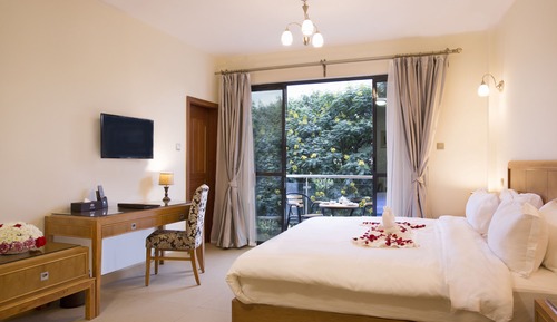 Park View Suite