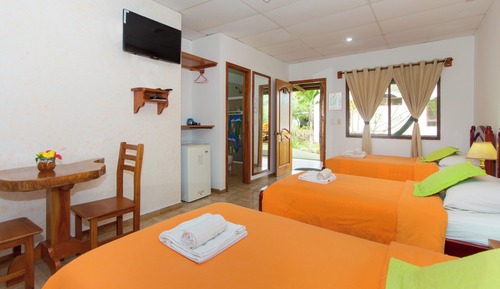 Habitación con 2 camas individuales, vistas al jardín