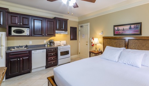 Suite estudio ejecutiva, 1 cama de matrimonio grande