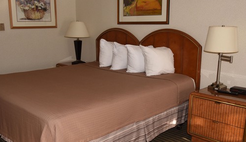 Room, 1 Queen Bed, Non Smoking (No Pets Allowed)