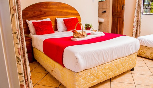 Habitación estándar con 2 camas individuales, vistas al jardín