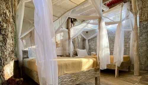 Casa en un árbol estándar, 1 habitación