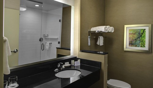 Habitación, 1 cama de matrimonio grande (Mobility Accessible, Roll-in Shower)