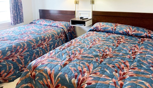 Habitación individual estándar, 1 cama de matrimonio grande, no fumadores