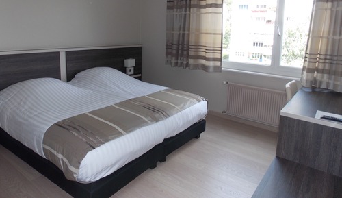 Habitación estándar con 1 cama doble o 2 individuales, vistas a la montaña