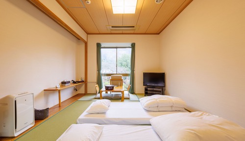 Habitación tradicional, no fumadores, vistas al jardín