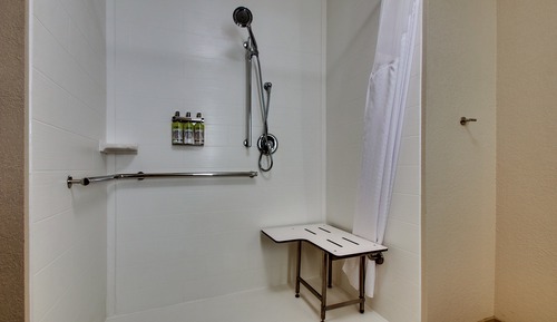Habitación estándar, 1 cama de matrimonio grande (Mobility, Roll-In Shower)