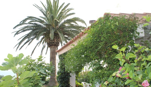Apartamento básico (Trilo 6 pax)