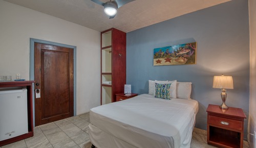 Starfish Queen Mini-Suite