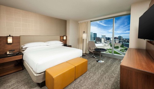 Suite, 1 cama de matrimonio grande (Roll in Shwr)
