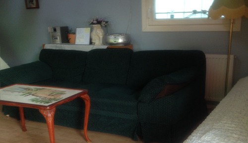 Cabaña, 1 habitación (Self-catering)
