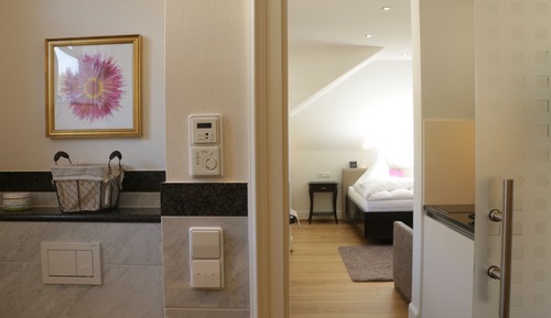 Estudio Business, 1 cama de matrimonio grande con sofá cama
