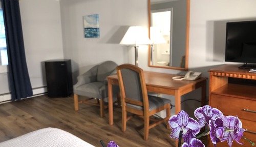 Habitación estándar, 1 cama de matrimonio grande