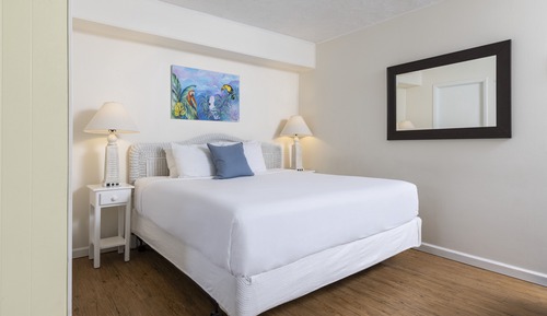 Estudio Deluxe, 1 cama de matrimonio grande
