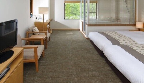 Habitación estándar con 2 camas individuales, baño privado, vistas al río