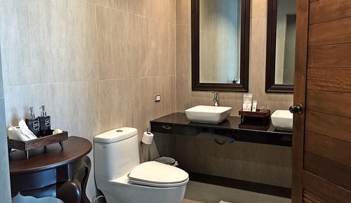 1 Bedroom Suite with Living Room and Shower&Bath Top Floor View