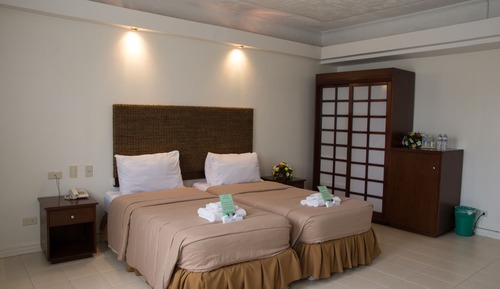 Habitación Deluxe con 2 camas individuales
