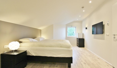 Habitación doble, 1 cama doble