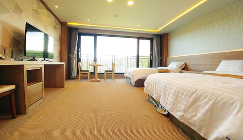 Habitación Deluxe con 2 camas individuales