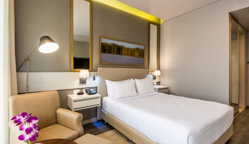 Habitación estándar, 1 cama de matrimonio, vistas a la ciudad