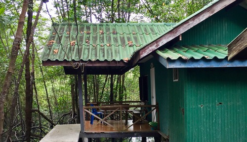 Mangrove Hut (NON AC, FAN ONLY)
