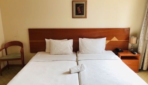 Habitación estándar con 2 camas individuales