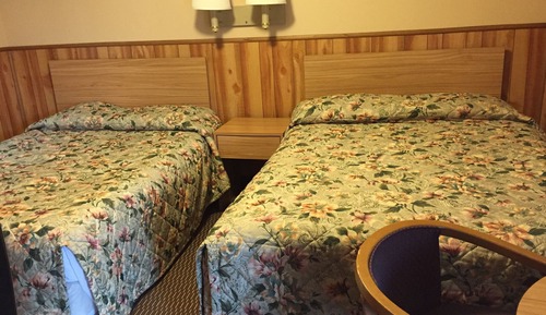 Habitación estándar, 2 camas dobles