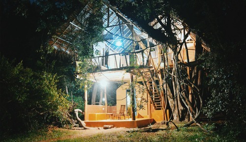 Casa Deluxe en un árbol, 1 habitación, balcón, vistas al jardín