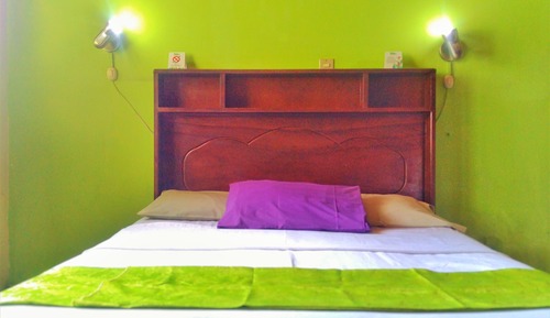 Habitación individual ejecutiva