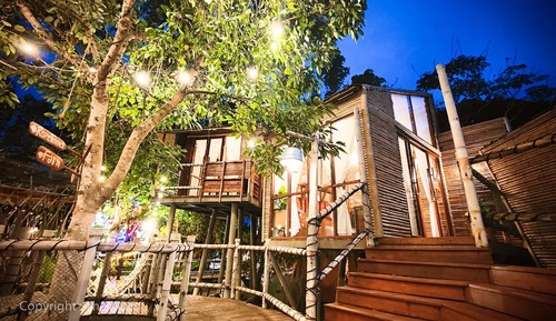 Casa en un árbol