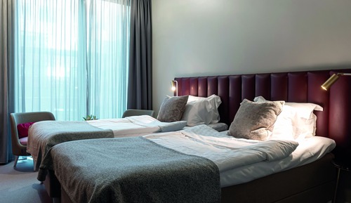 Habitación estándar con 2 camas individuales