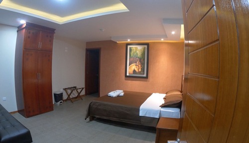 Habitación Deluxe, 1 cama de matrimonio
