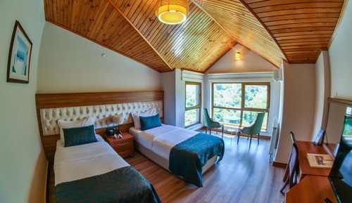 Habitación estándar con 1 cama doble o 2 individuales, vistas a la montaña