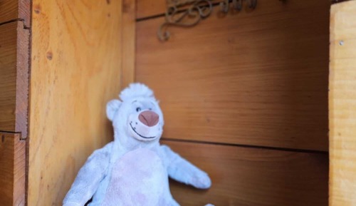 Casa de campo básica, baño privado (Baloo)