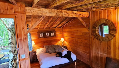 Casa en un árbol (L'Ours Brun)