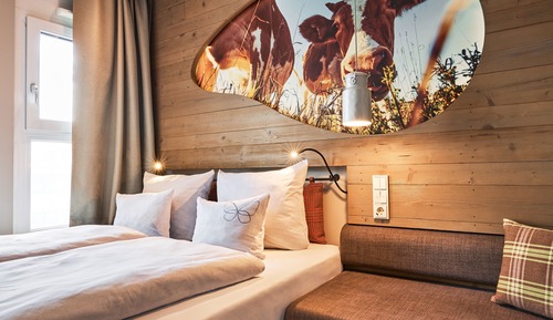 Habitación estándar doble (Cosy Alm)