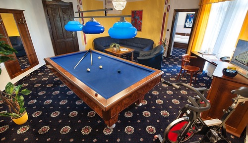 Suite exclusiva, 1 habitación, patio, vistas al jardín (with Billiard)