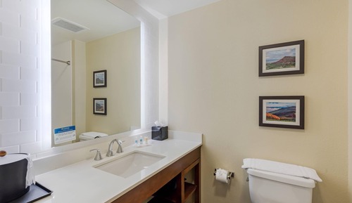 Suite, 1 cama de matrimonio grande con sofá cama, no fumadores (Shower, 2 Person Sofa Bed)
