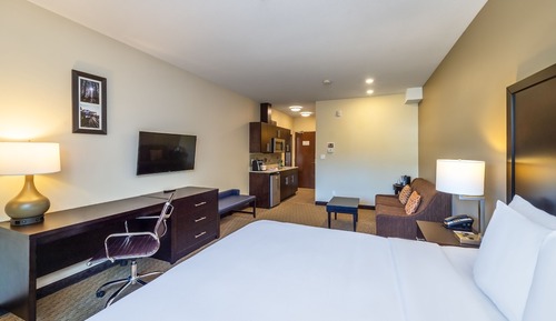 Efficiency, Suite, 1 cama de matrimonio grande con sofá cama, no fumadores