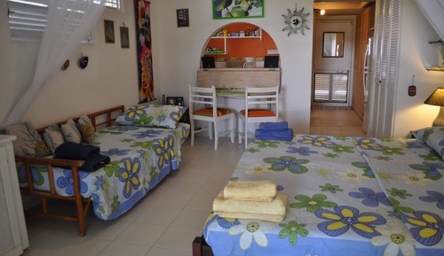 Apartamento clásico, 1 habitación, cocina, en la zona del jardín